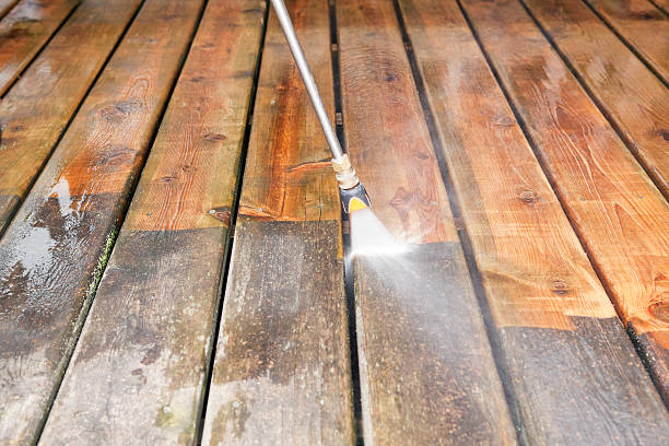 Best Dumpster Area Cleaning  in Riverside, IL
